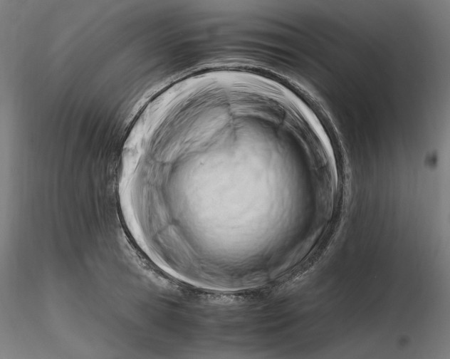 X0000116260945200912291453
