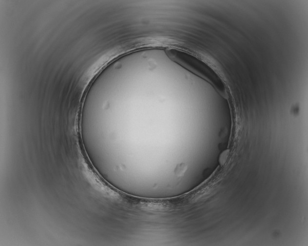 X0000116260946200912291453