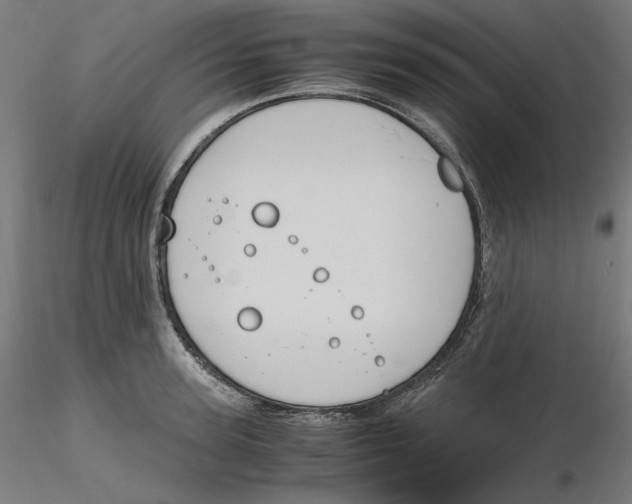 X0000116260947200912291453