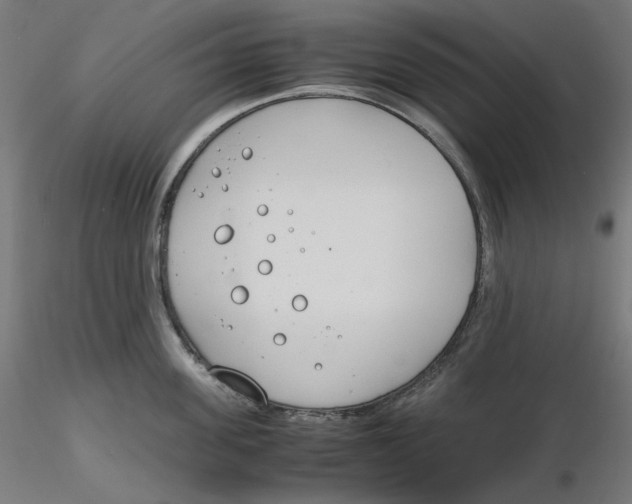 X0000116260955200912291453