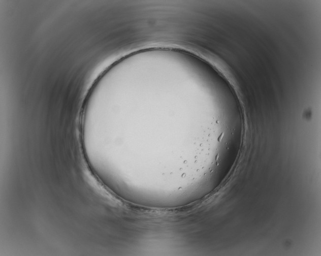 X0000116260958200912291453