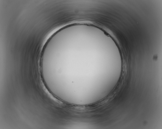 X0000116260959200912291453
