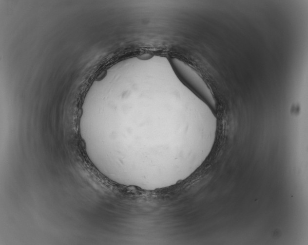 X0000116260961200912291453