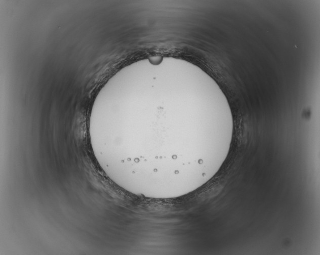 X0000116260962200912291453