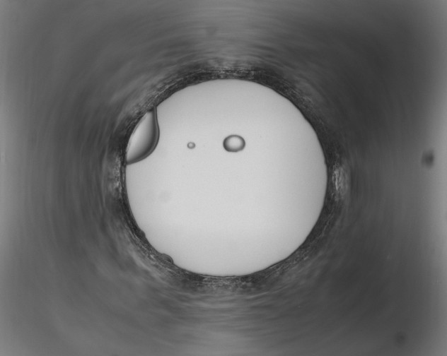 X0000116260963200912291453