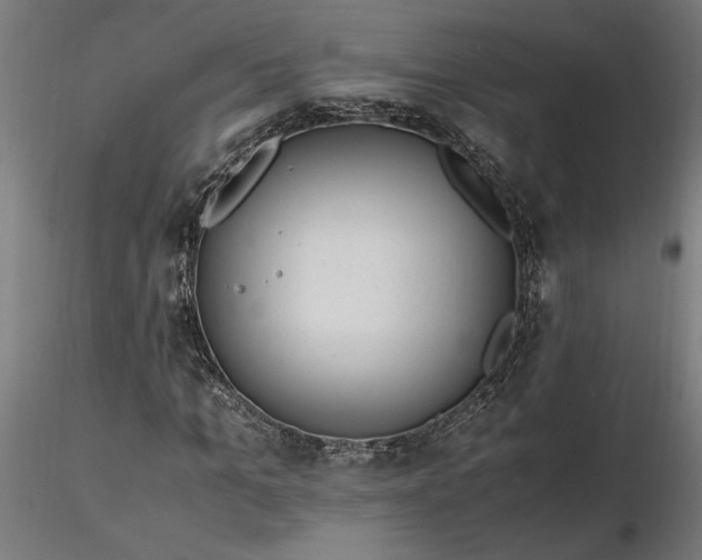 X0000116260965200912291453