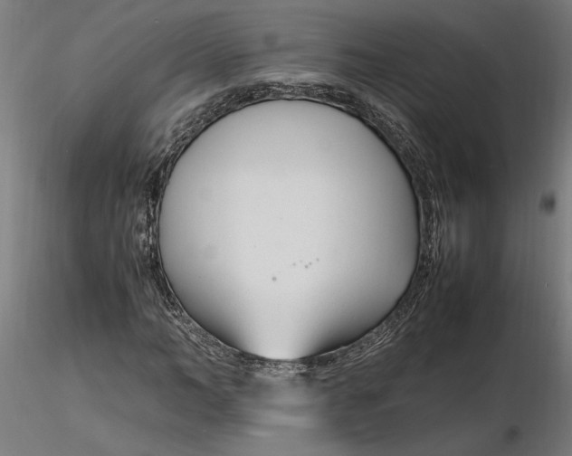 X0000116260966200912291453