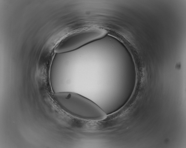 X0000116260969200912291453