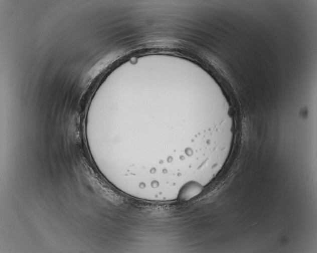 X0000116260970200912291453