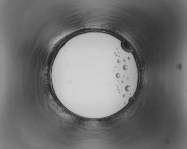 X0000116260971200912291453