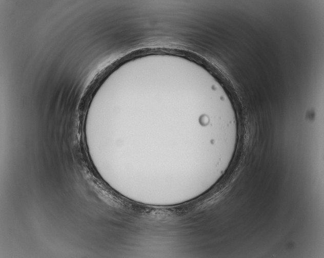 X0000116260974200912291453