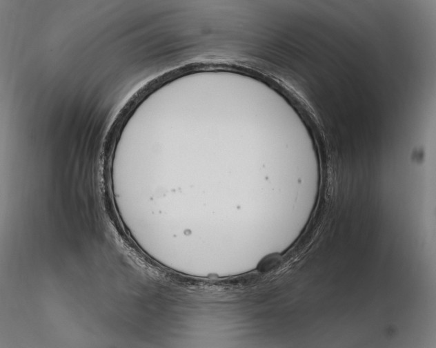 X0000116260976200912291453