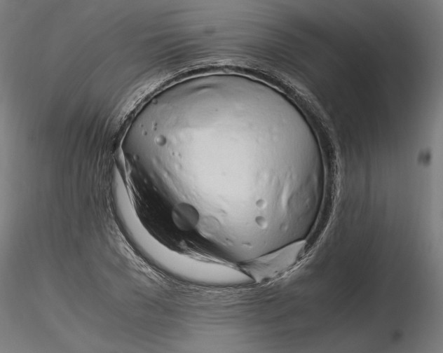 X0000116260977200912291453