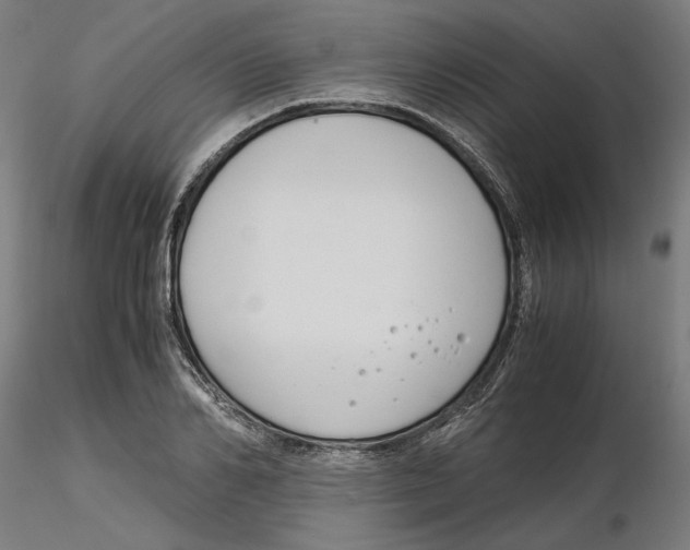 X0000116260982200912291453