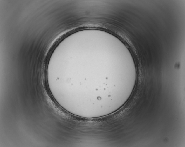 X0000116260984200912291452