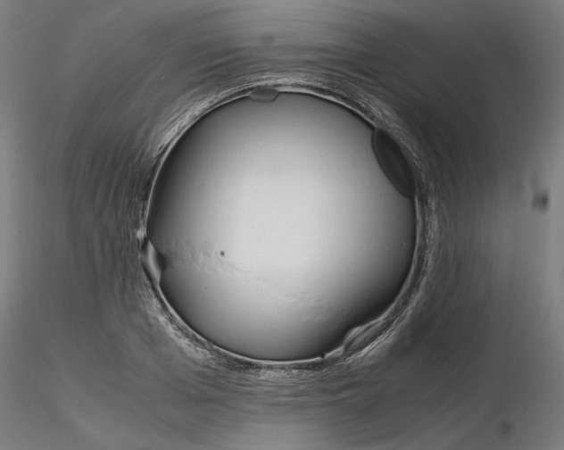 X0000116260985200912291452
