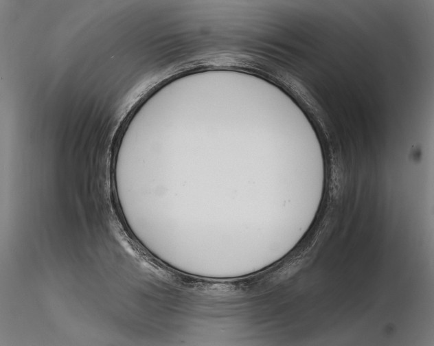 X0000116260986200912291452