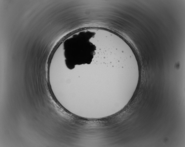 X0000116260988200912291452