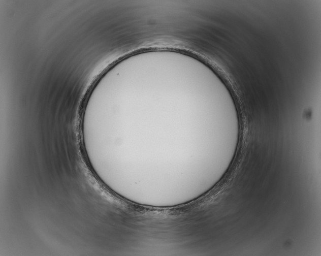 X0000116260990200912291452