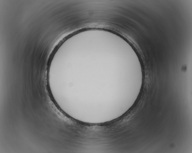 X0000116260992200912291452