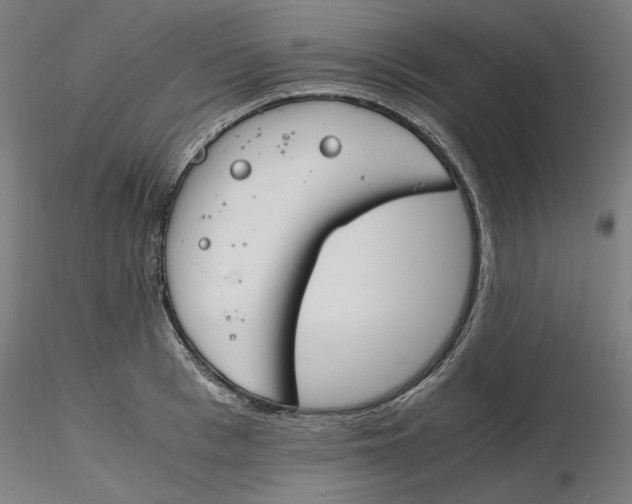 X0000116260993200912291452
