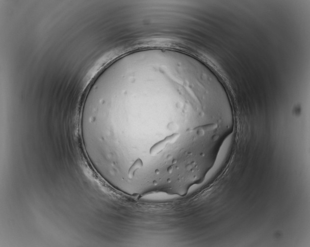 X0000116260994200912291452