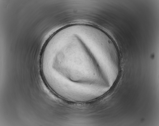 X0000116260995200912291452