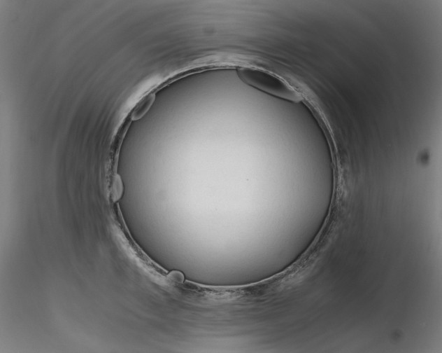 X0000116260997200912291452