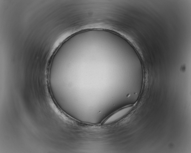 X0000116260998200912291452