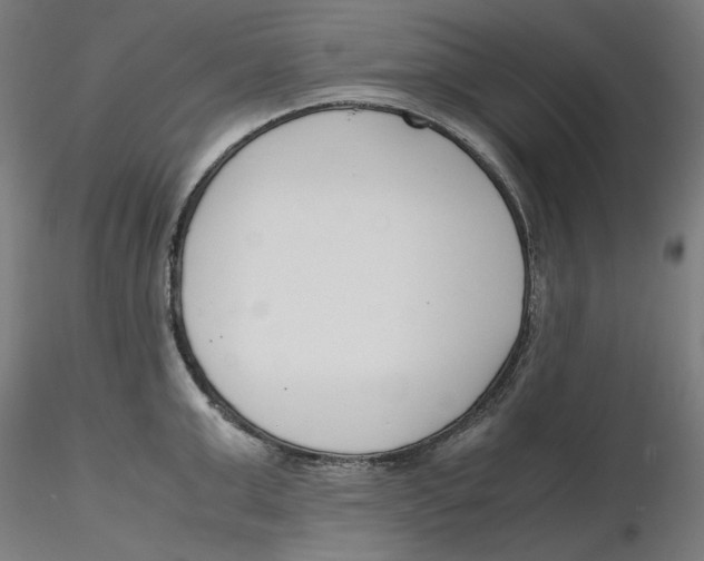X0000116260999200912291452
