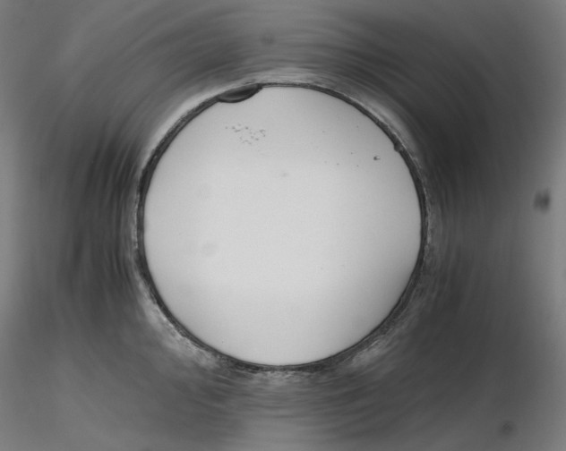 X0000116261000200912291452