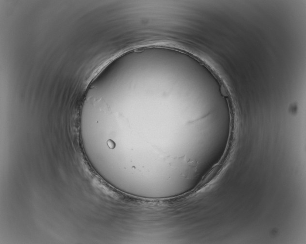 X0000116261001200912291452