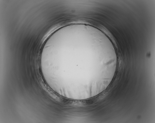 X0000116261002200912291452