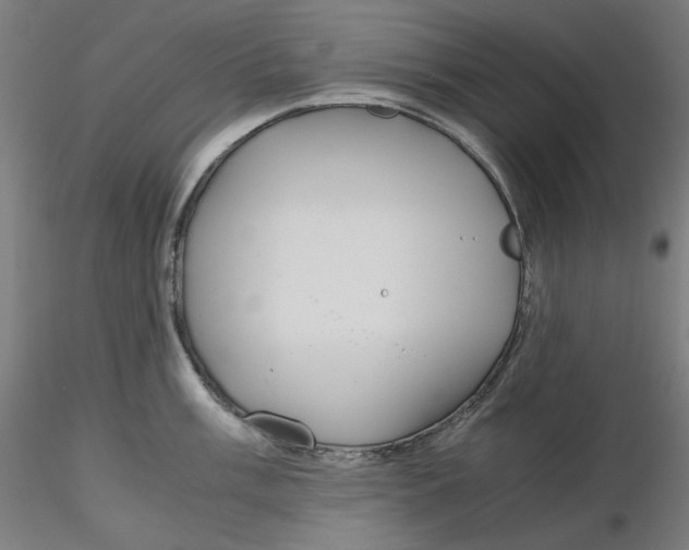 X0000116261003200912291452
