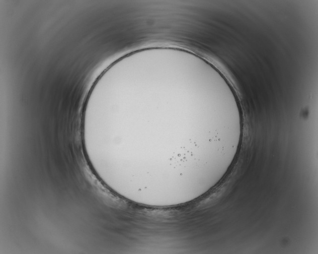 X0000116261004200912291452