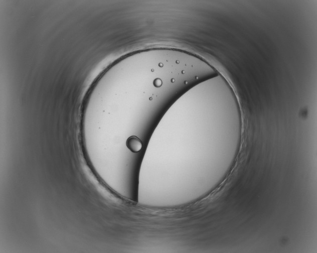 X0000116261005200912291452