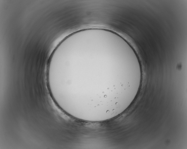 X0000116261006200912291452