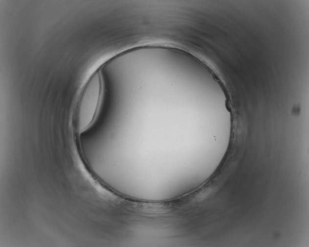 X0000116261007200912291452