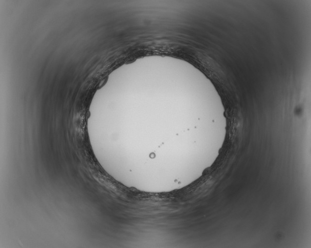 X0000116261010200912291452