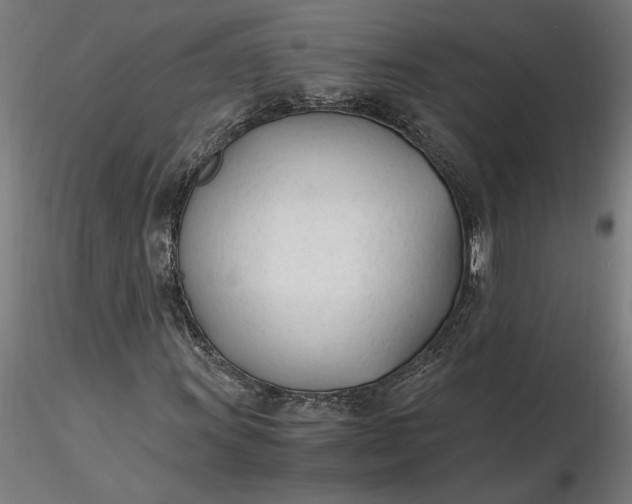 X0000116261011200912291452