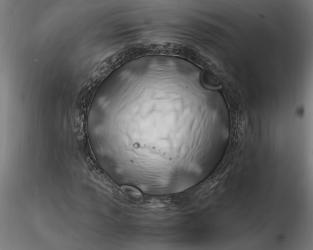 X0000116261013200912291452