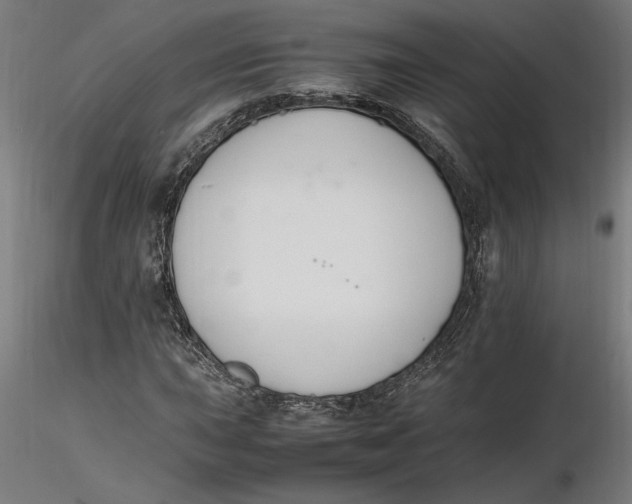 X0000116261015200912291452