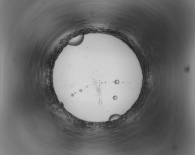 X0000116261016200912291452