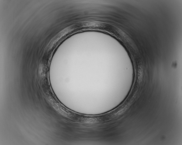 X0000116261017200912291452