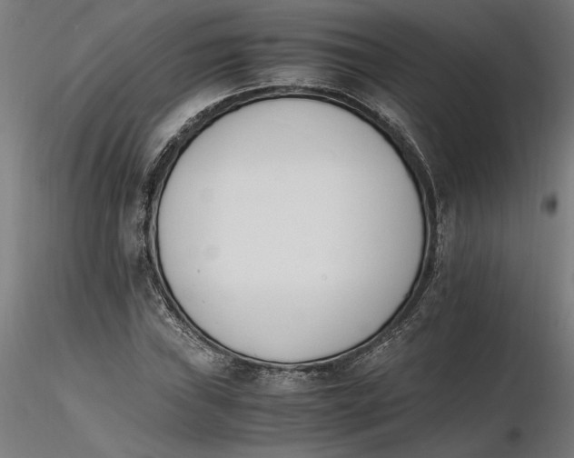 X0000116261019200912291452