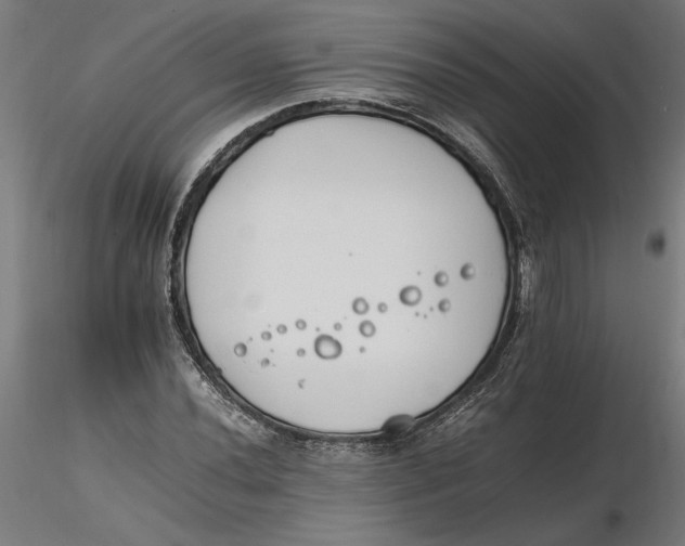 X0000116261020200912291452