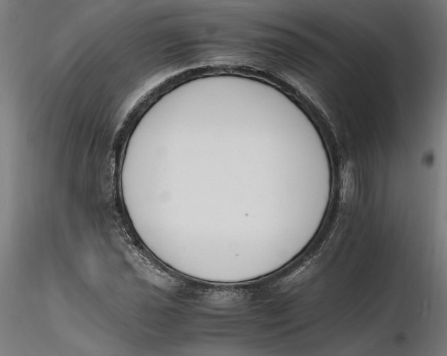 X0000116261021200912291452