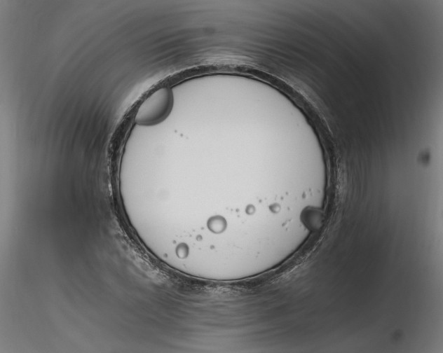 X0000116261022200912291452