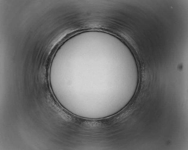 X0000116261023200912291452