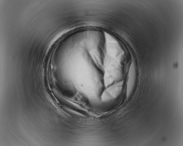 X0000116261024200912291452
